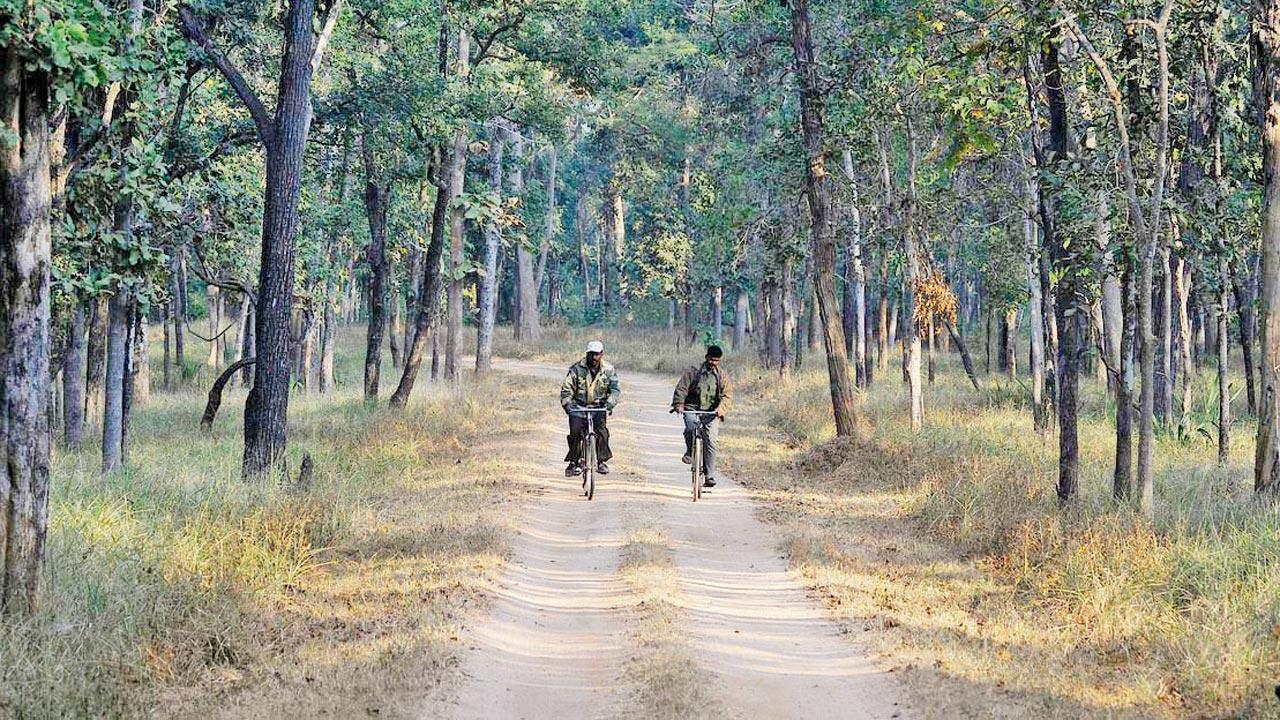 Forest guards on patrol in Pench Tiger Reserve, MP.  While pay structures across the various wings of the Forest Department are uniform and the opportunities for a promotion are equal, there is marked disparity in work profiles