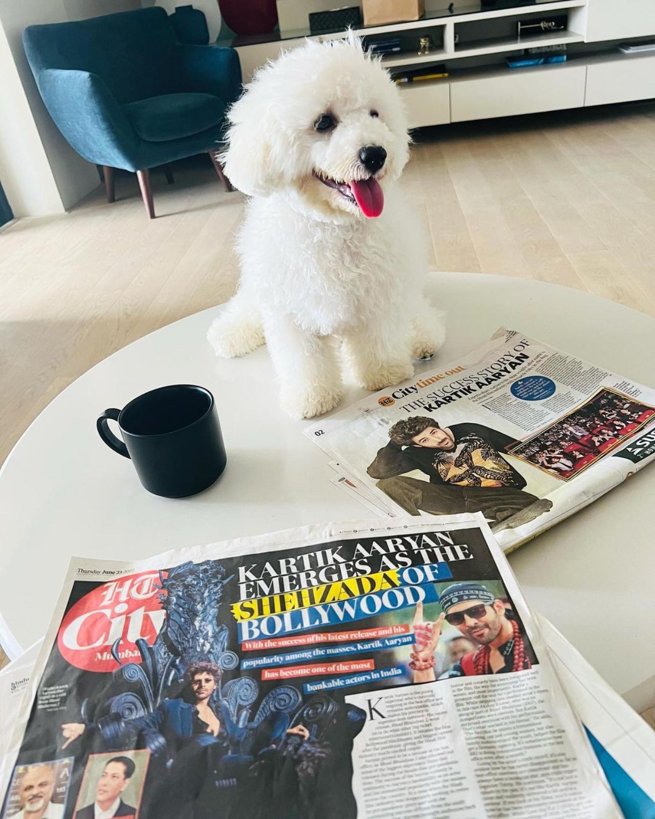 Kartik has also referred to Katori as his 'constant cheerleader' in one of his Instagram posts. In the picture, Katori is seen posing in front of newspaper and magazine featuring the 'Bhool Bhulaiyaa 2' star