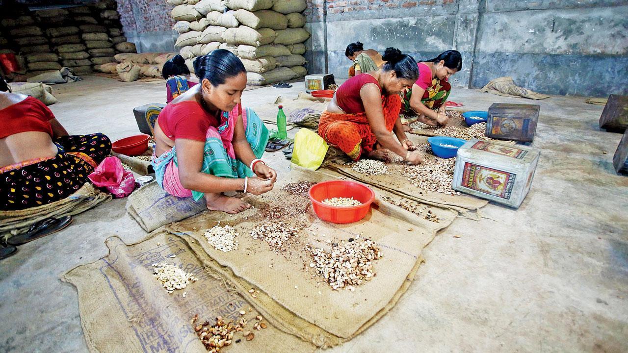 Women blue-collar workers get paid 19 per cent less than men do