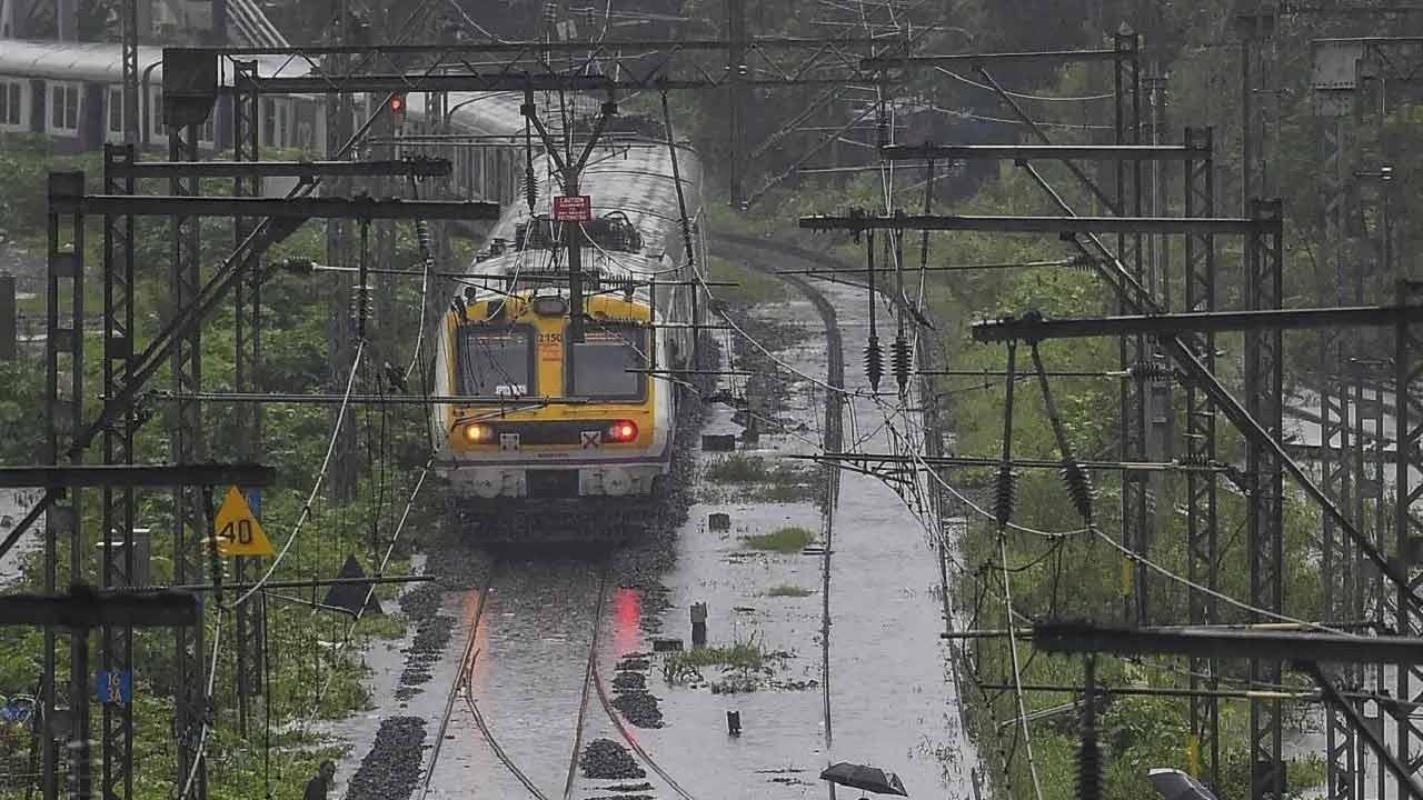 Flower beds to replace vegetables grown on land patches along rail tracks in Mumbai