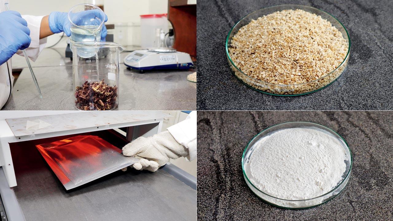 Purav Desai, Rahul Batra, and Lokesh Sambhwani, founders of Refillable, a zero-waste refill service, which creates smart packaging and refill systems to eradicate waste at source for brands and consumers