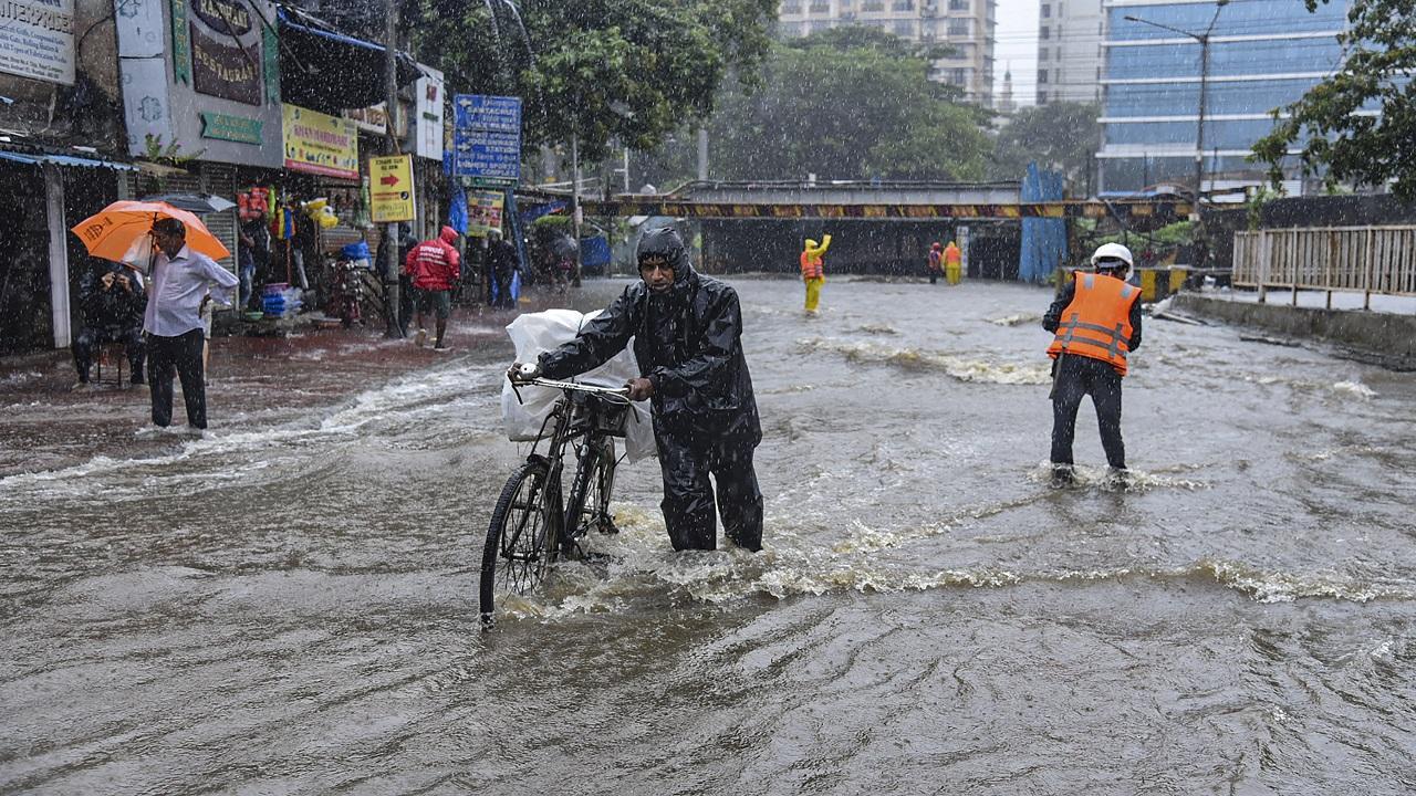 Light to moderate rainfall likely in Mumbai today: BMC