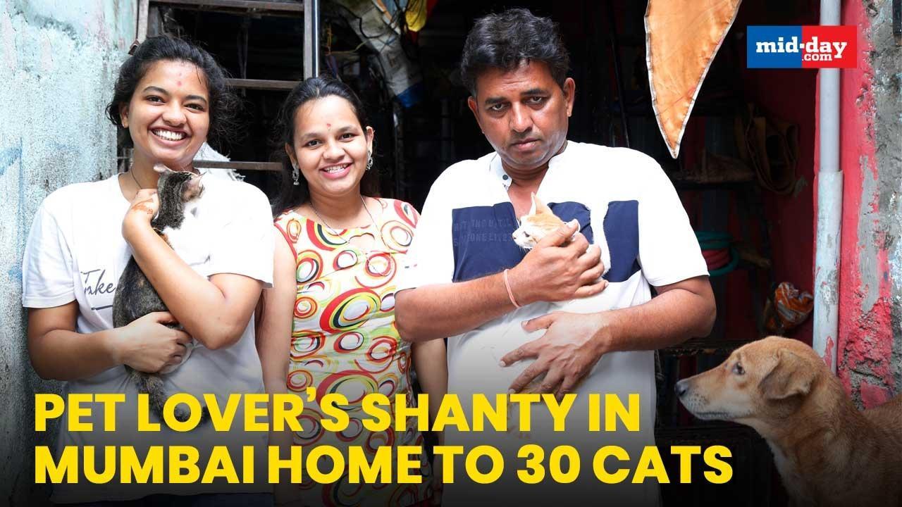 Mumbai: Pet Lover’s Shanty In Chembur Home To 30 Cats