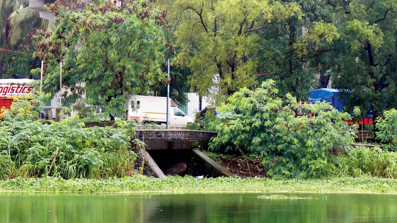 Mumbai: Clean Powai lake still a distant dream
