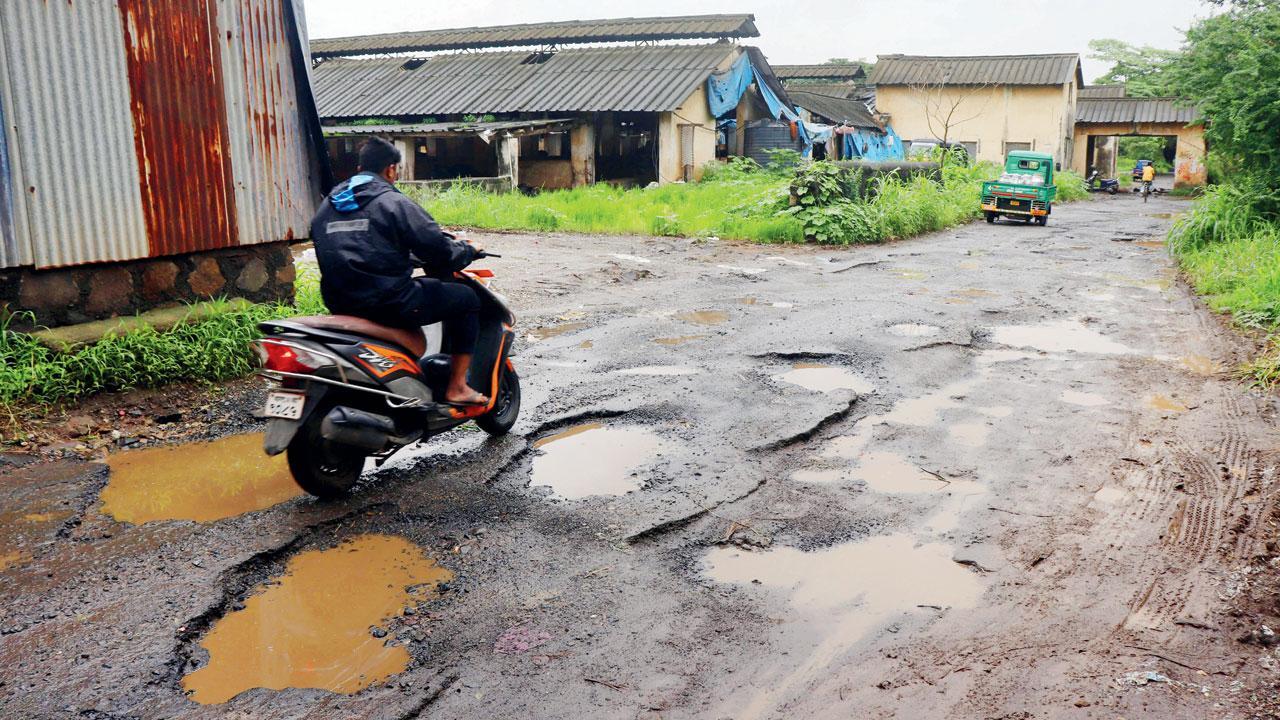 Mumbai: Think out of the box, engage big, reputable firms to fix roads, advice activists