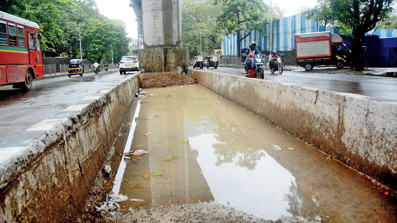 Mumbai: BMC unwittingly creates mosquito breeding spots