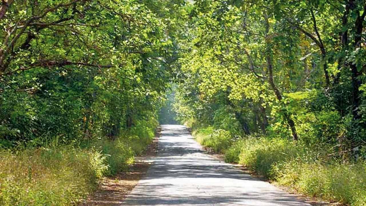 Sign up for these three weekend trips around Mumbai