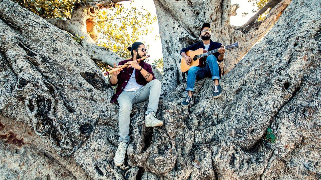 Satire on sound: Musicians joining 'Save Aarey' movement discuss art and activism