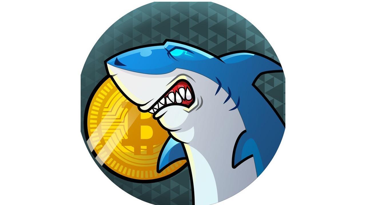 Shark Coins – Solution to Your All Cryptocurrency Needs