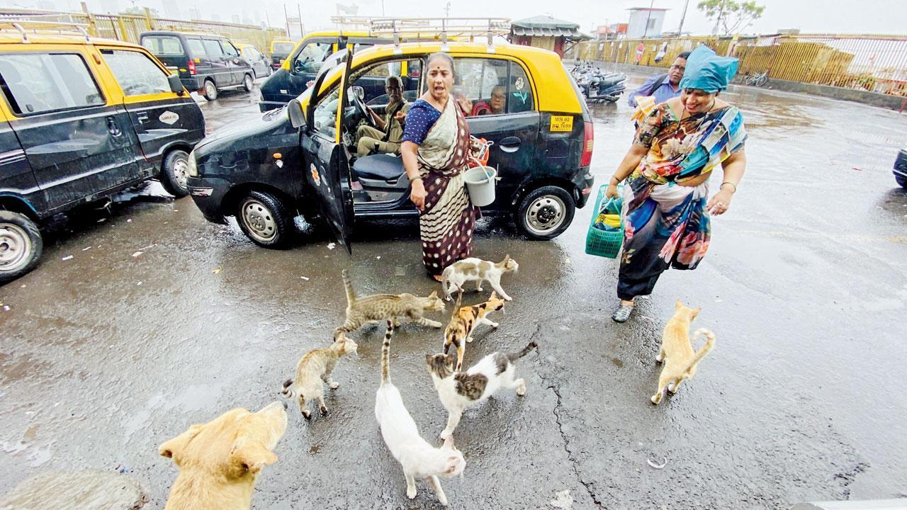 Mumbai Diary: Monday Dossier