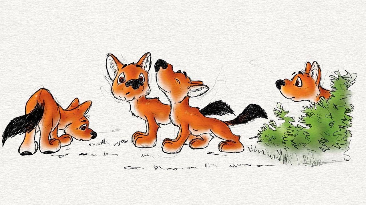 Srivathsa’s illustration of a pack of dholes