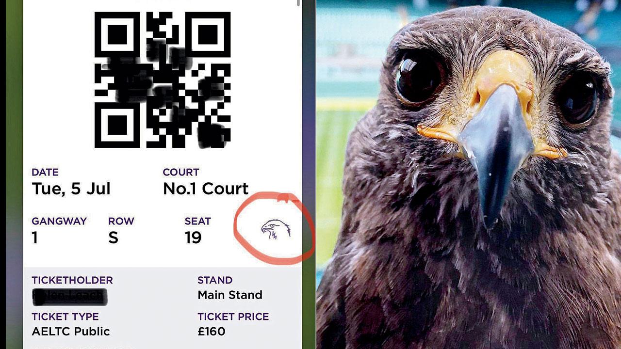 A Wimbledon ticket; (right) Rufus. Pic Courtesy/@RufusTheHawk on Twitter