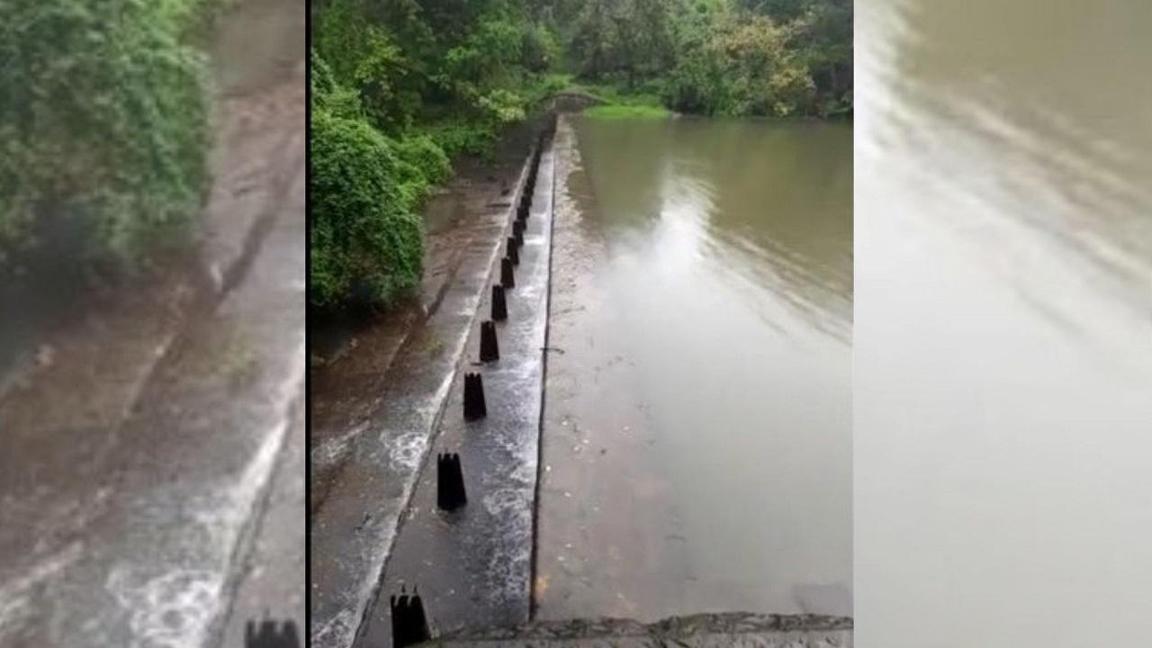 Mumbai: Tulsi lake overflows after heavy rainfall in the city