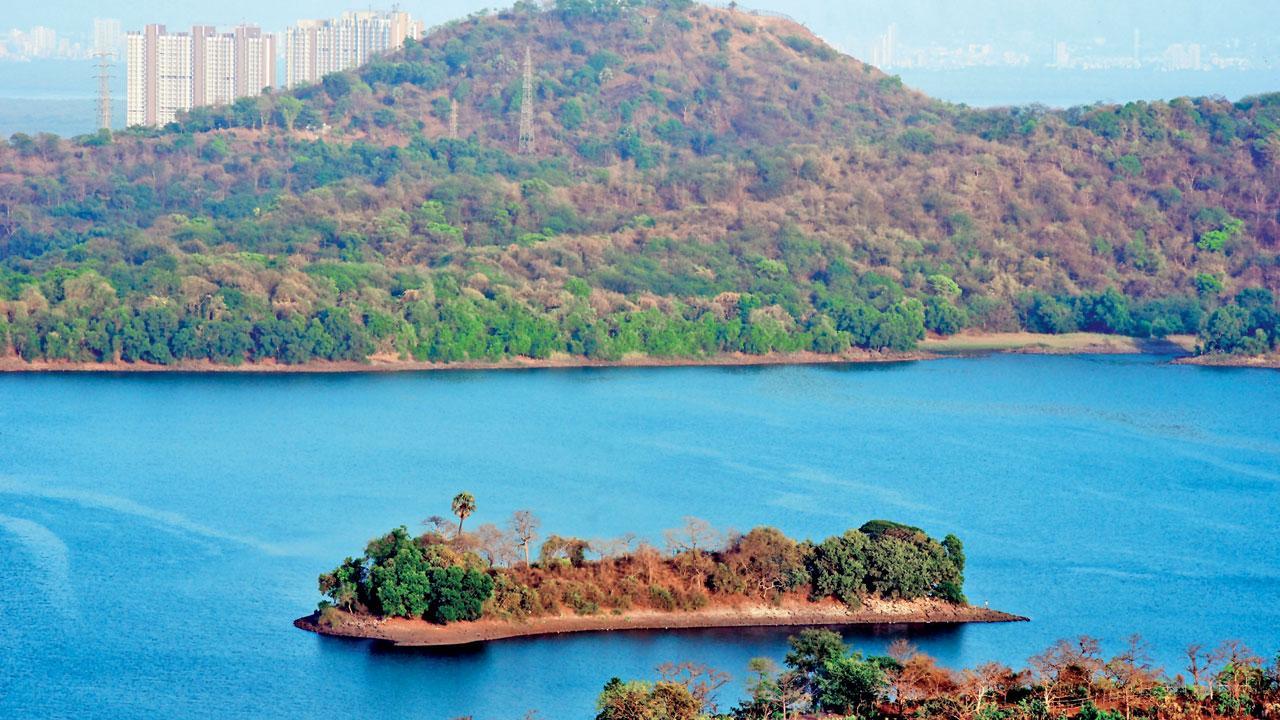 Mumbai monsoon: Lake levels rise, but city’s water cut stays
