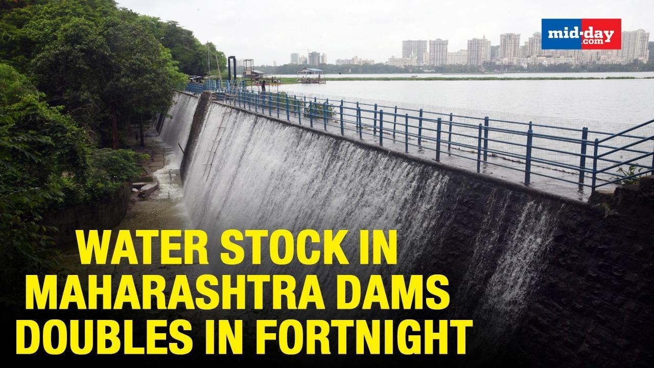 Collective Water Stock In Maha Dams Doubles In Fortnight After Good Rainfall