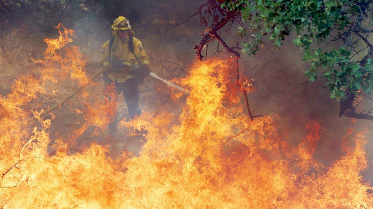 Emergency in California over wildfire near Yosemite