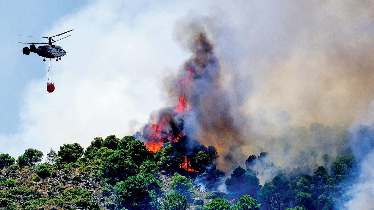 Spain, Portugal battle wildfires,  UK braces for 400 Celsius