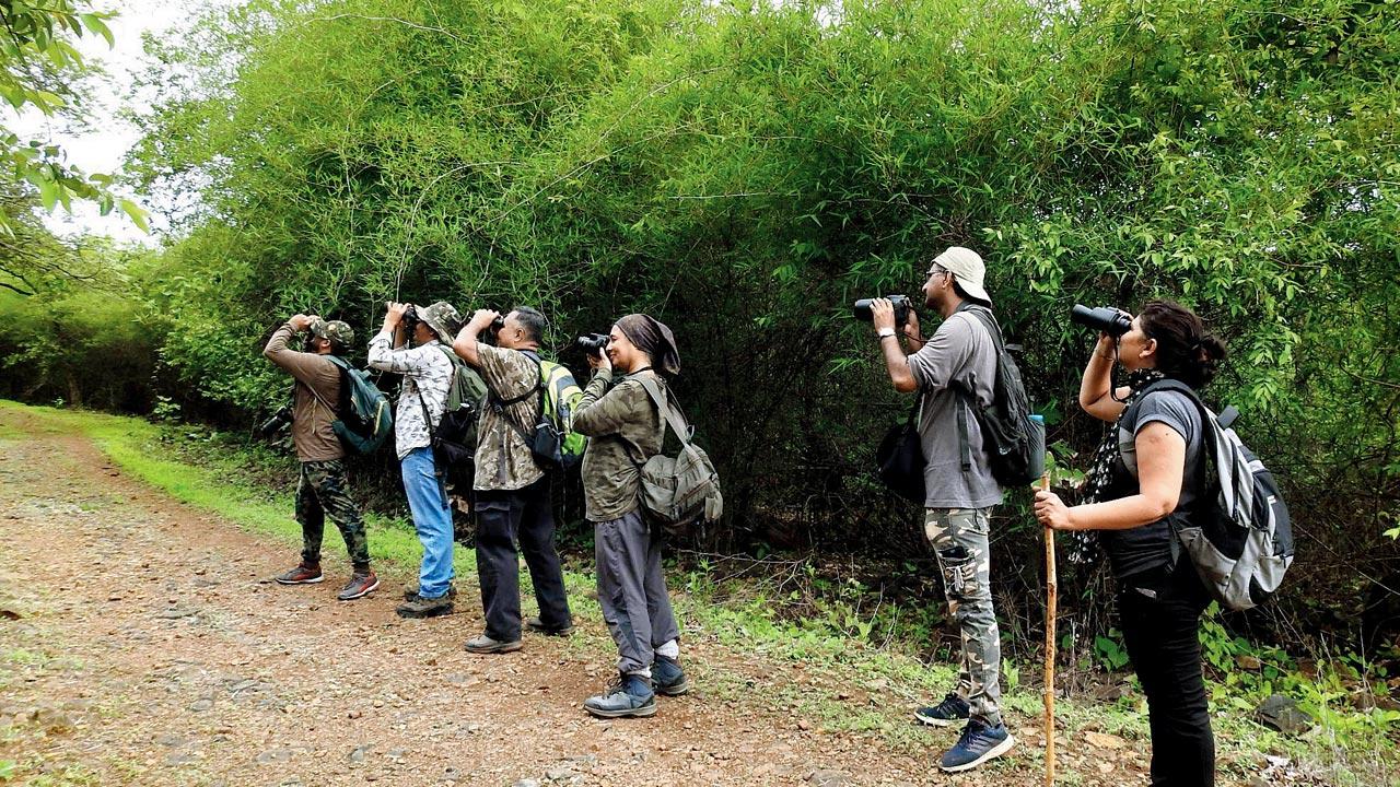A previous batch of birders on a field visit. Pic courtesy/BNHS