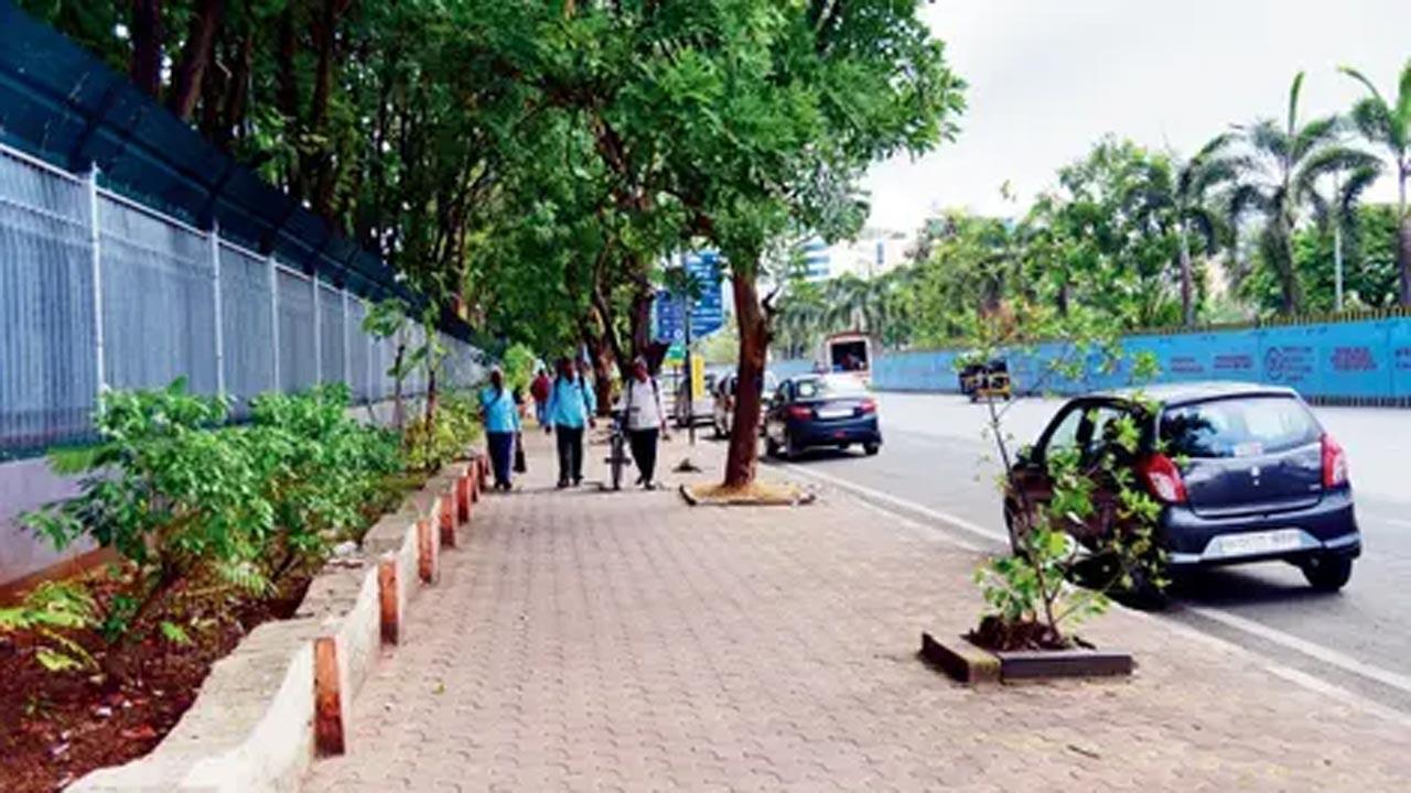Need pavements that are pedestrians’ pleasure