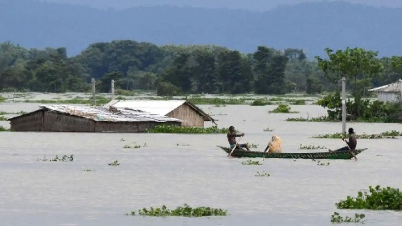 Maharashtra: Over 3,000 people shifted to safety amid heavy rains in Gadchiroli