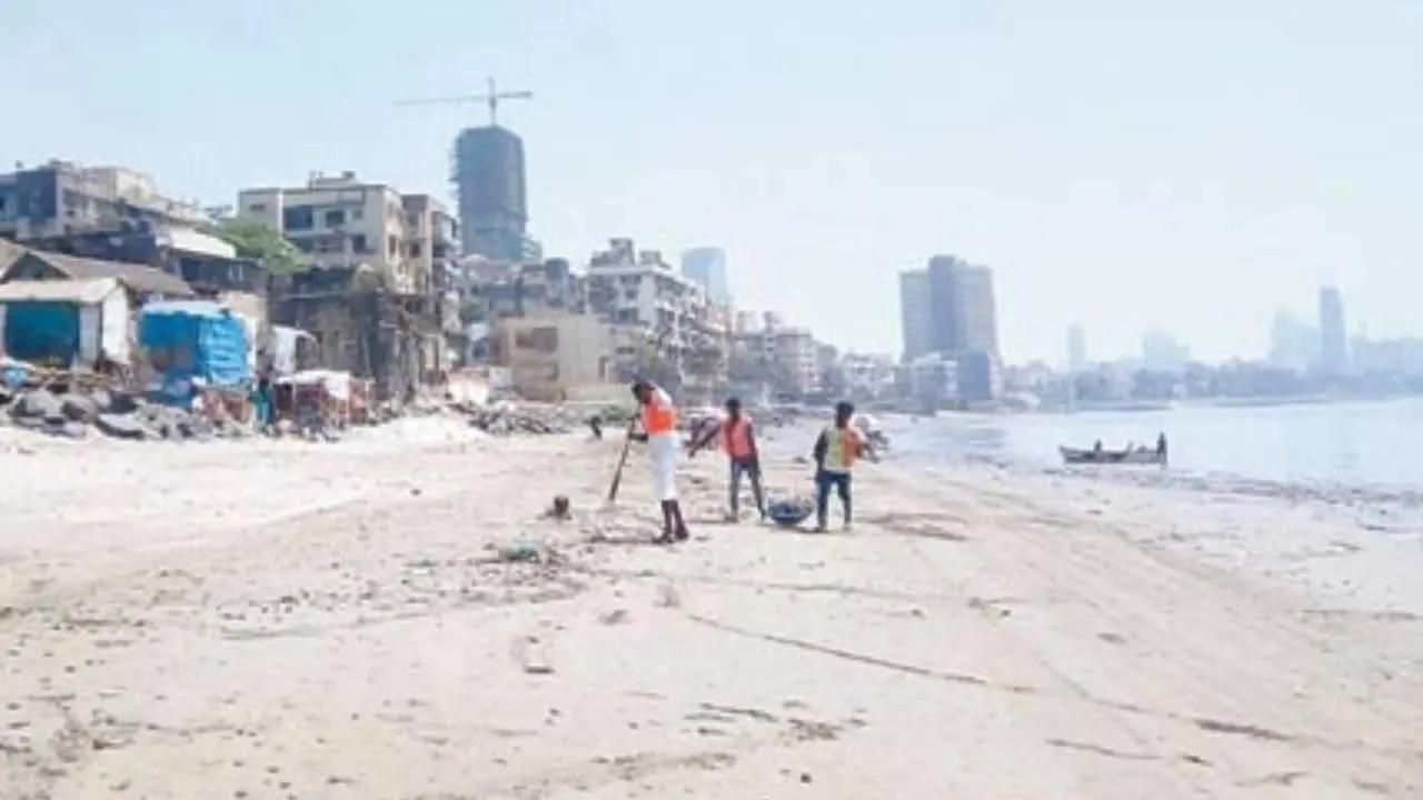 Jellyfish, tarballs wash ashore on Juhu beach in Mumbai; visitors asked to be cautious