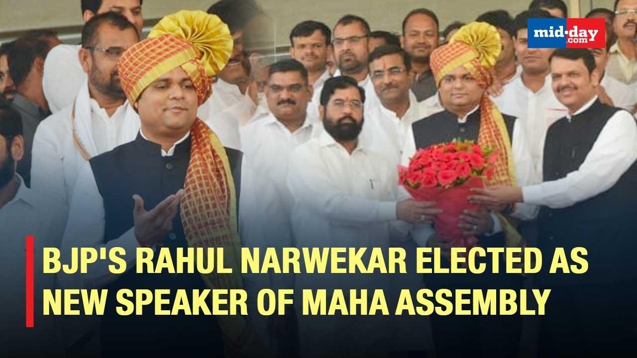 BJP's Rahul Narwekar Elected As New Speaker Of Maharashtra Assembly