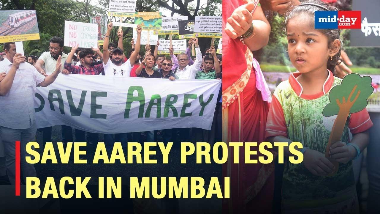 Metro Car Shed: Save Aarey Protests Back in Mumbai