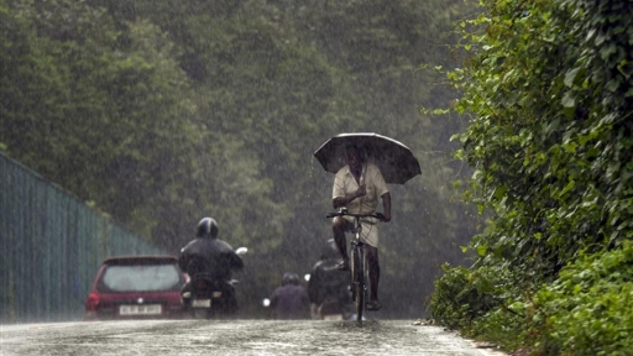 Rain relief for Mumbai, IMD downgrades 'red' alert to 'orange'