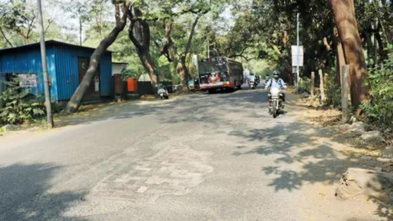 Green activists held for 'moving suspiciously' in Aarey, released after warning