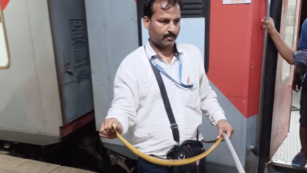 Mumbai: Woman passenger spot snake in Express train, TC rescued it