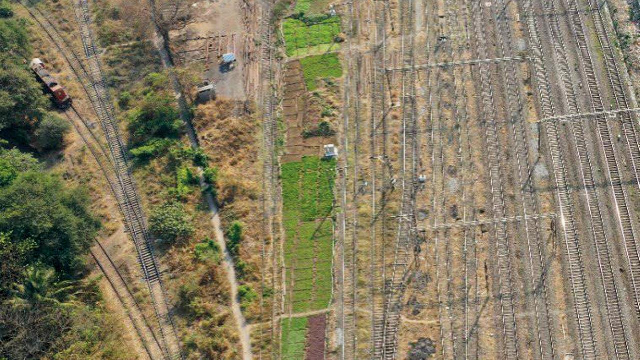 Mumbai: Central Railway to beautify over 100 locations with ornamental and garden plants