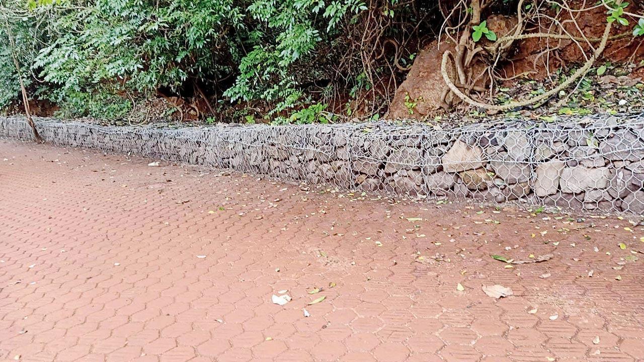 Maharashtra: Keep Matheran plastic-free, locals plead with MMRDA contractor