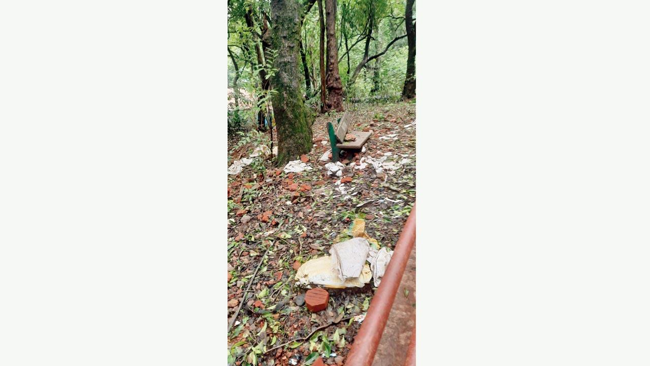 Plastic sacks, used to carry work material, strewn in the forest in Matheran