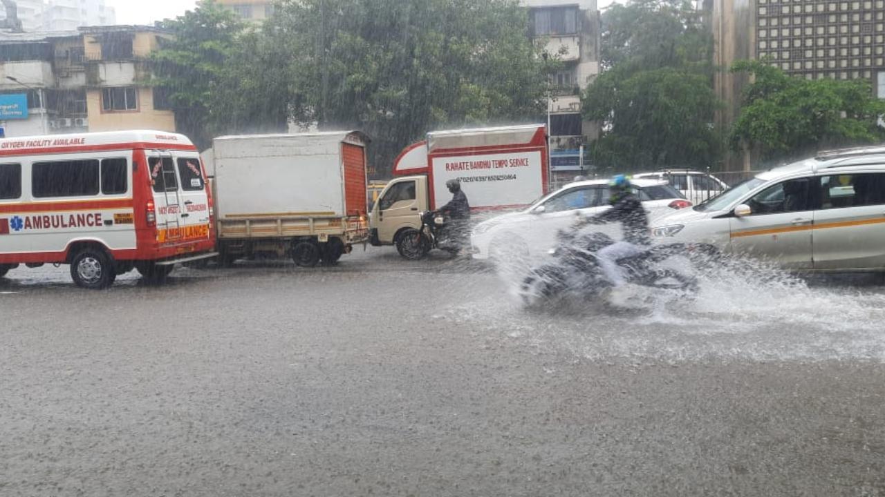 Maharashtra: NDRF teams on standby as heavy rains continue in Mumbai, nearby areas