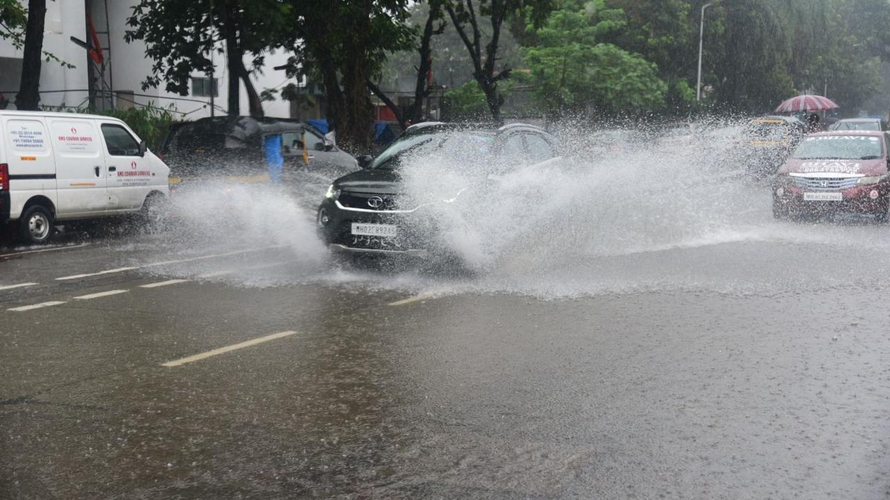 Maharashtra: Heavy rain in Mahabaleshwar, Koyna dam water level rising