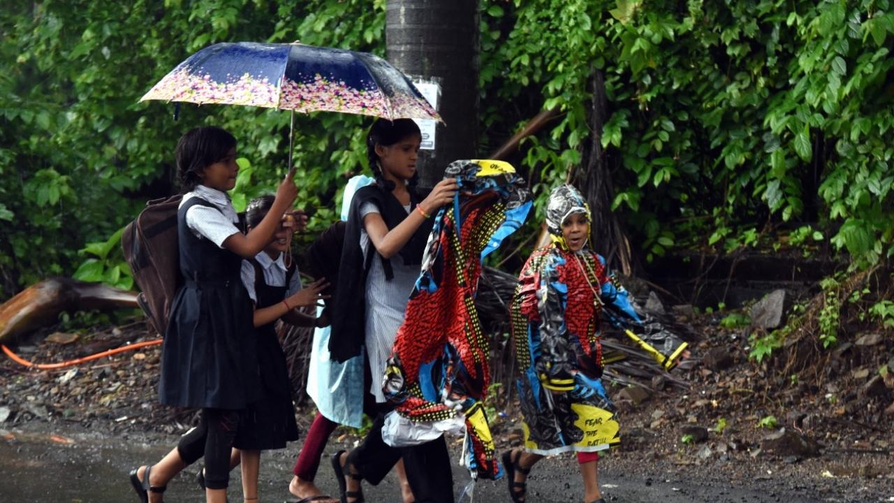 School children holding umbrellas walk in the rain at Powai. Pic/Shadab Khan 