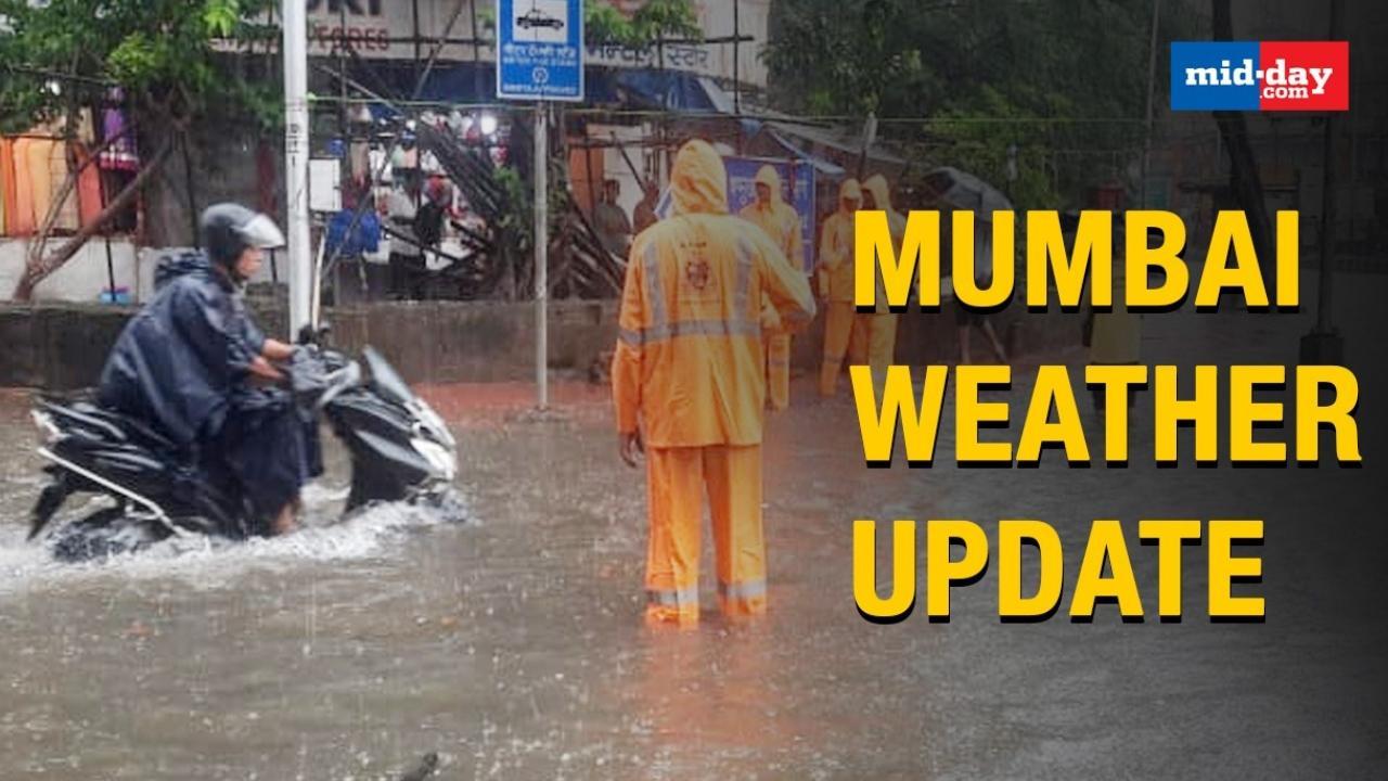 Heavy Showers Cause Waterlogging, Traffic Snarls In Parts Of The City