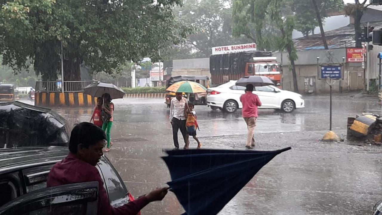 According to IMD Mumbai, from June 1 the Colaba observatory recorded a total rainfall of 1146.2 mm, while the Santacruz observatory recorded a total rainfall of 1317.6 mm. Pic/Satej Shinde