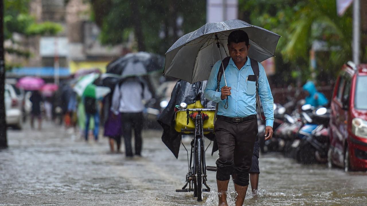 IMD issues heavy rain alert for Maharashtra, Kundalika river crosses danger mark