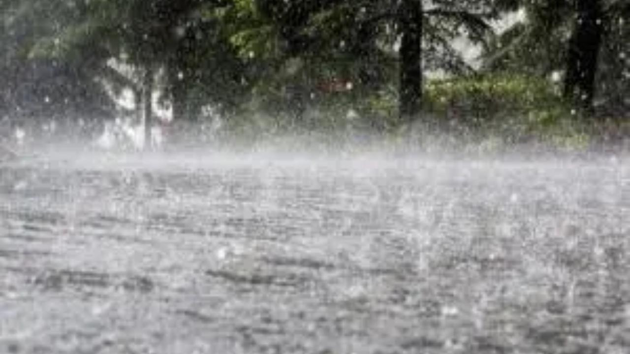 Maharashtra rains: Seven houses damaged in Palghar following heavy rains; 'red alert' issued for next 2 days