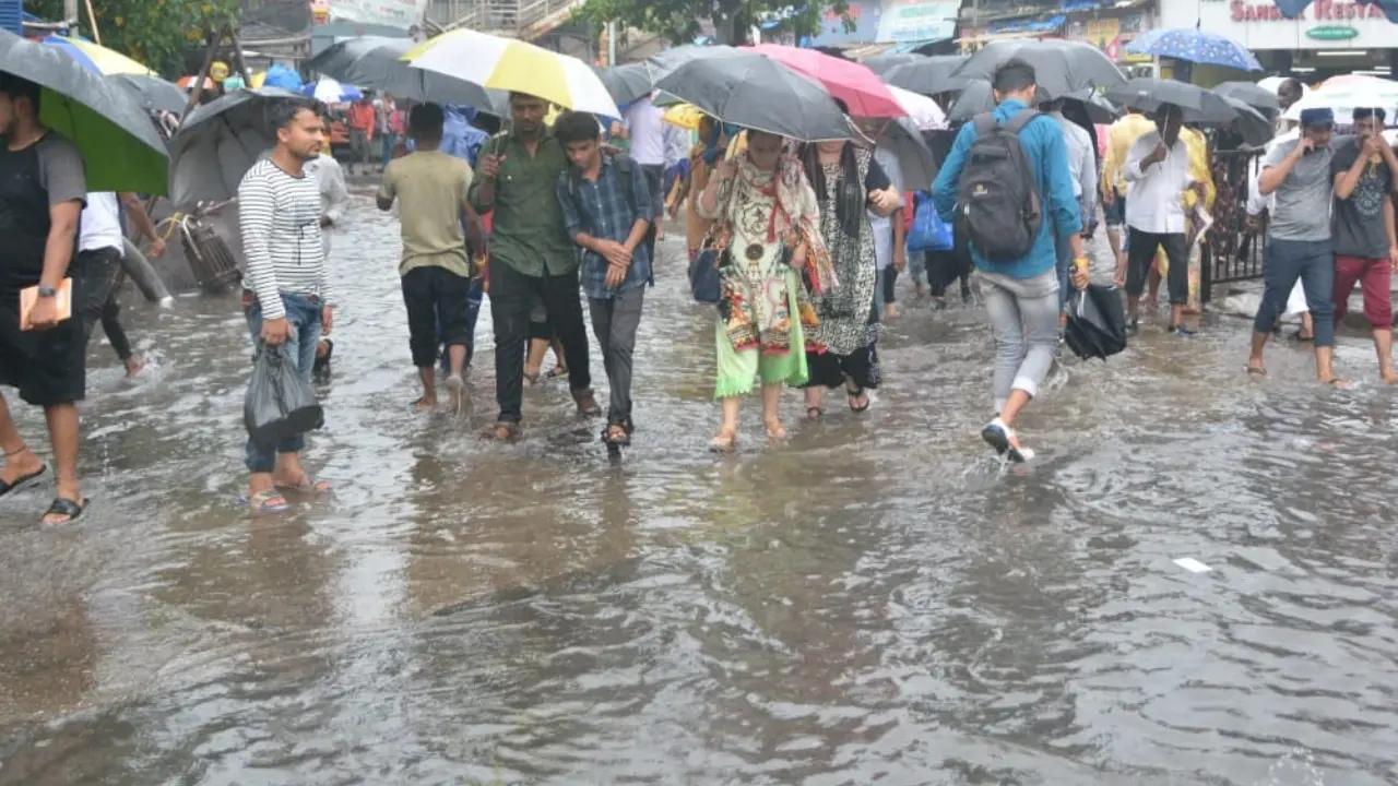 Mumbai rains: Leptospirosis alert — check symptoms and preventive measures