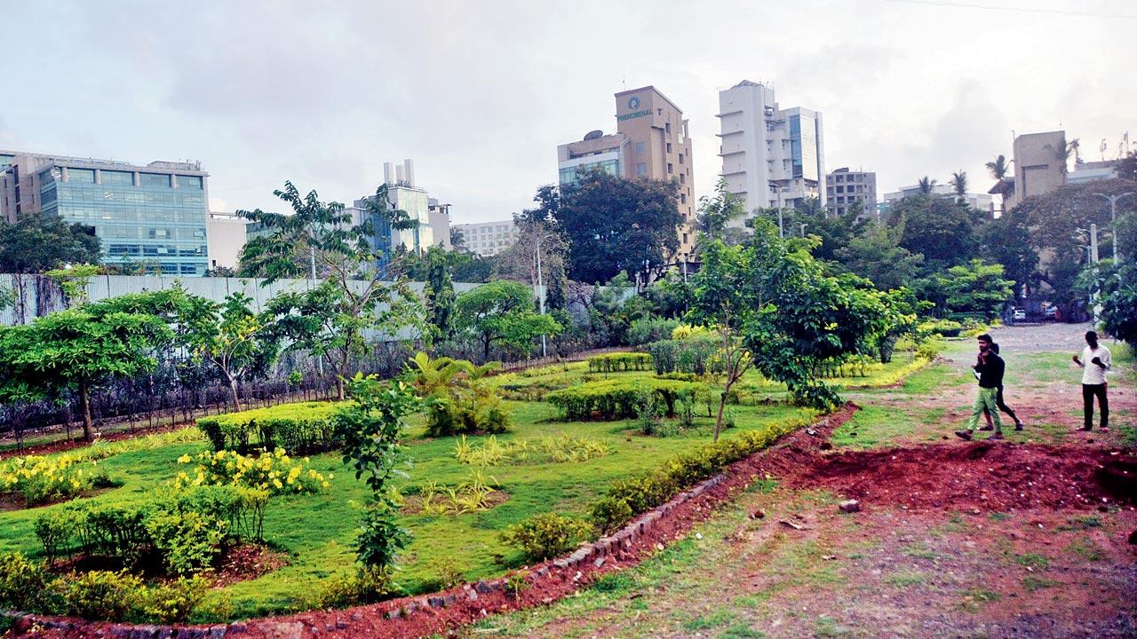 The BMC garden at Marol which will be part of the forest. PIC/Sayyed Sameer Abedi