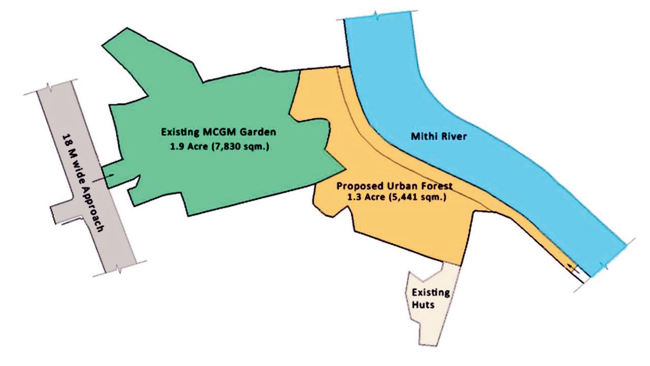 The plan for the forest