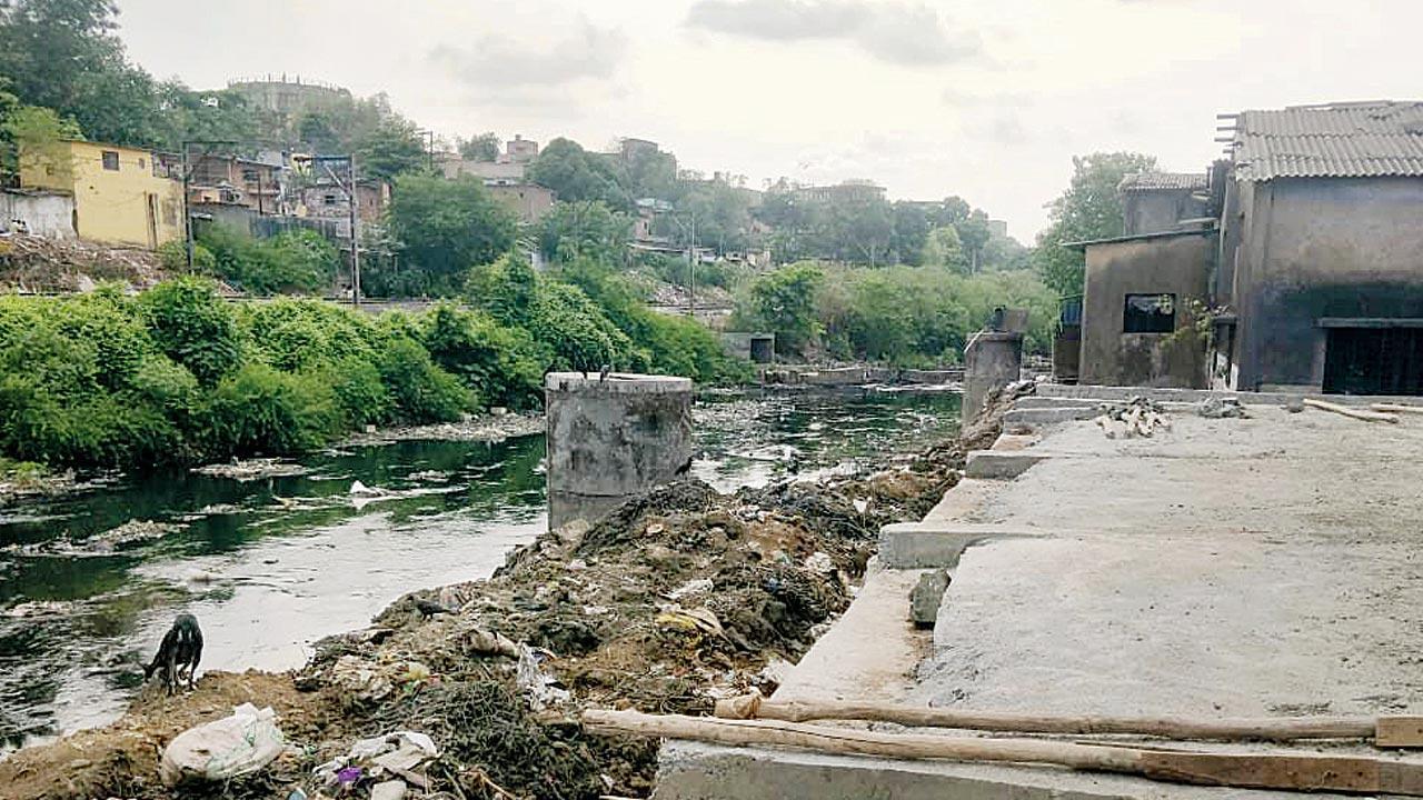 Thane: Shocking to see illegal reclamation of Waldhuni river, says environmentalist