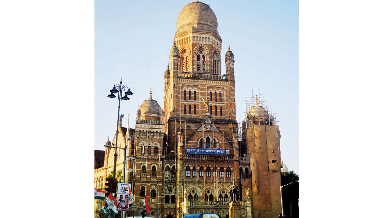 BMC polls are likely to be held after monsoon