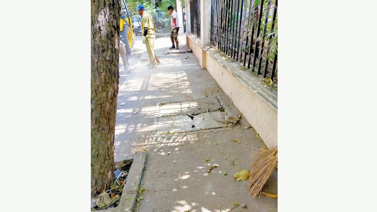 Footpaths like this one in flood-spots in the city could eventually have holding ponds constructed under them. File pic