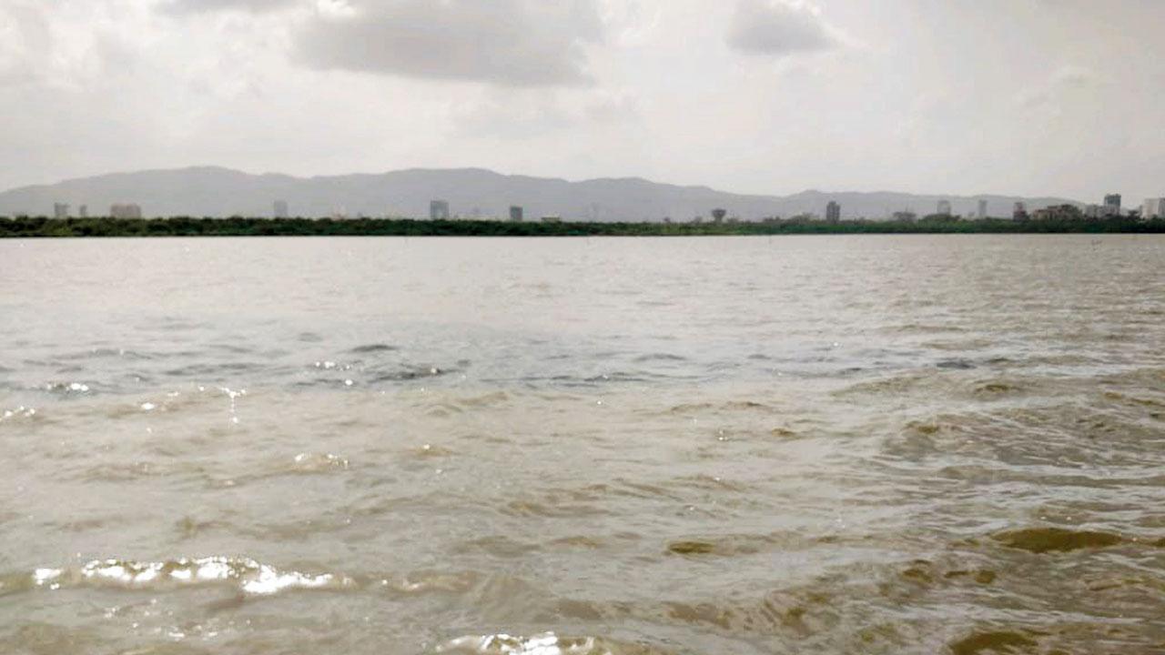 Thane Creek pollution continues, damaged pipeline dumps effluents