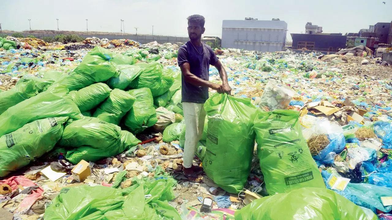 Let us not ‘waste’ any more time for WTE plant