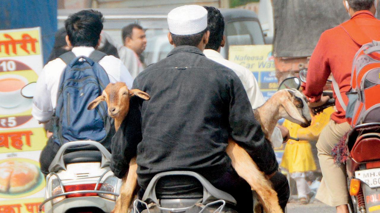 Mumbai Diary: Thursday Dossier