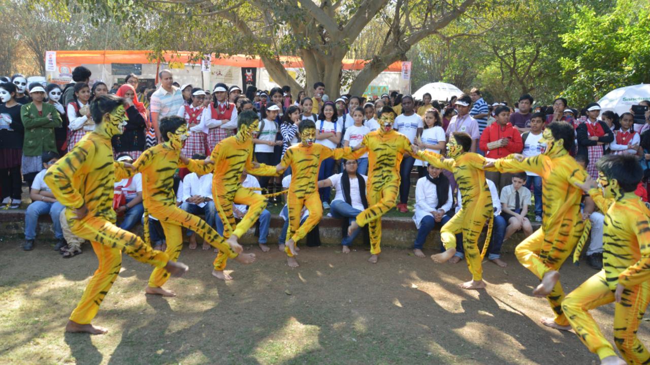 Why Kids For Tigers fest at NCPA is a must-attend this Sunday